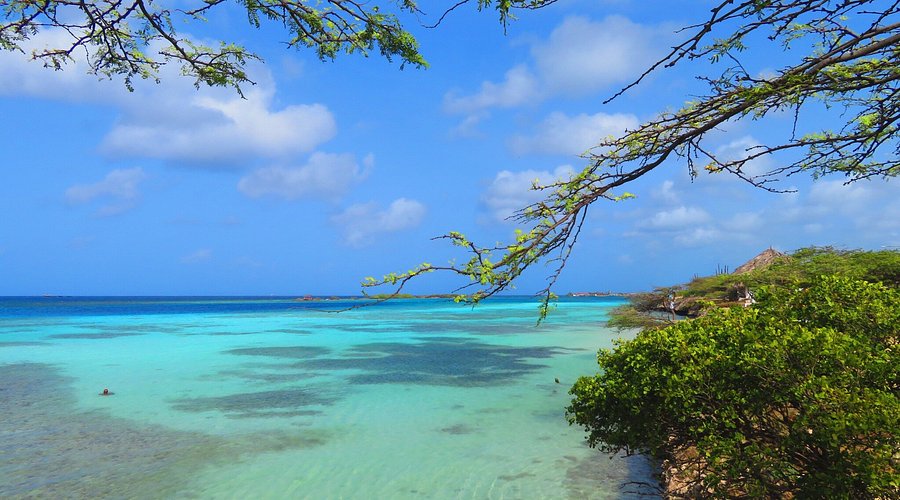 Mangel Halto Beach Aruba - mangroves and reef